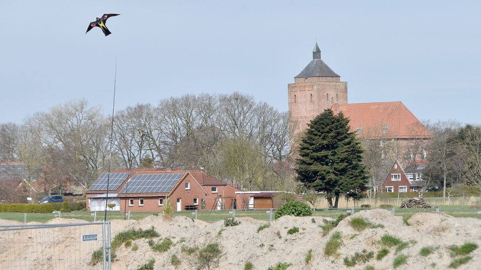 17 solcher Vogelscheuch-Falkendrachen wurden auf der Sportplatz-Baustelle am Tjücher Moortun in Marienhafe aufgestellt. Foto: Thomas Dirks