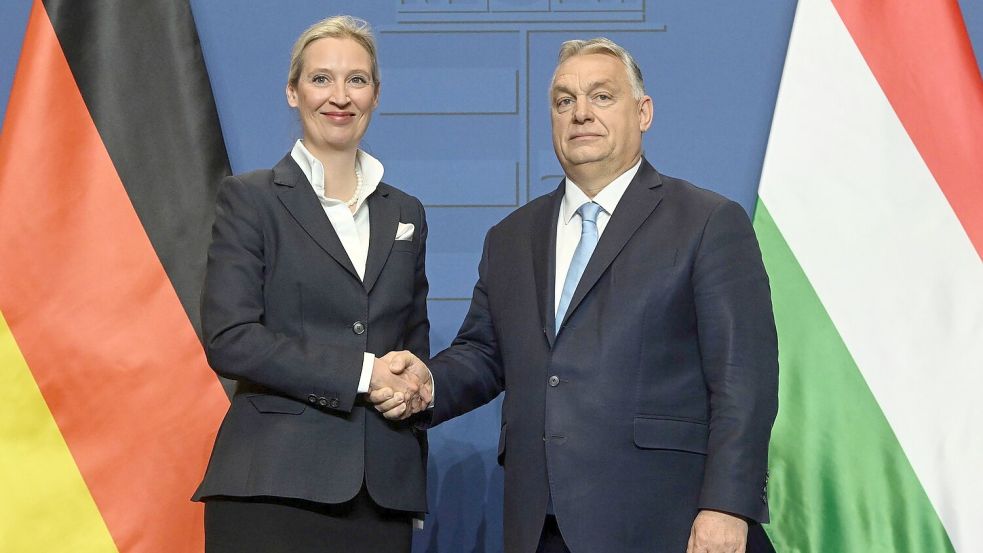 AfD-Parteichefin Alice Weidel pflegte ein enges Verhältnis mit Ungarns jetzt abgewähltem Regierungschef Viktor Orban. (Archivbild) Foto: Szilard Koszticsak/MTI/AP/dpa