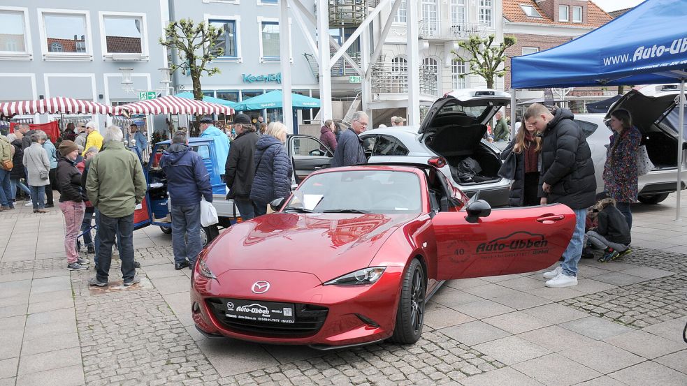 Frühlingszauber: Der Aktionstag besticht traditionell mit einem bunten Programm rund um die blühende Pracht.