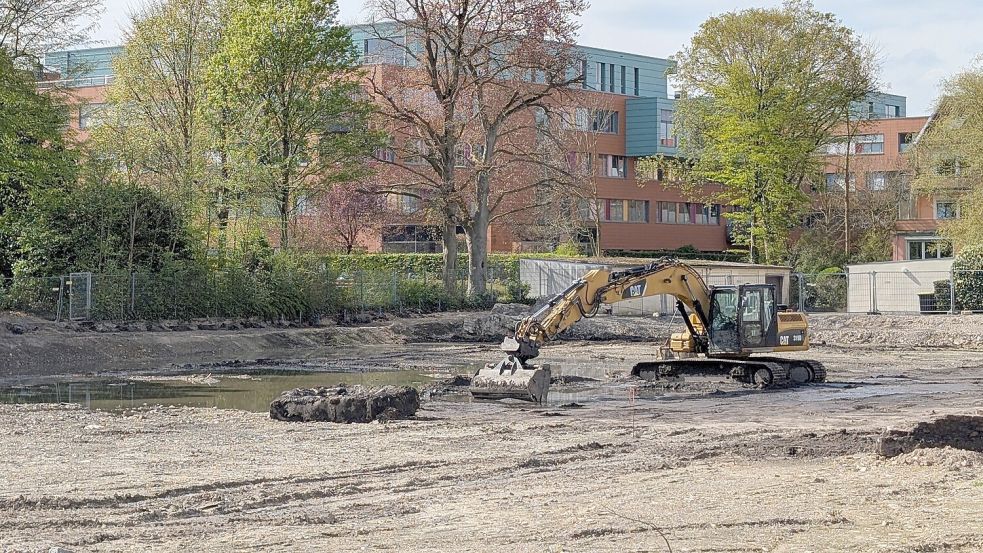 Ein Bagger steht auf dem Baugrund an der Rehmstraße. Damit dieser seine Arbeit voll aufnehmen kann, müssen die Kampfmittelexperten grünes Licht geben. Foto: Mareike Baart