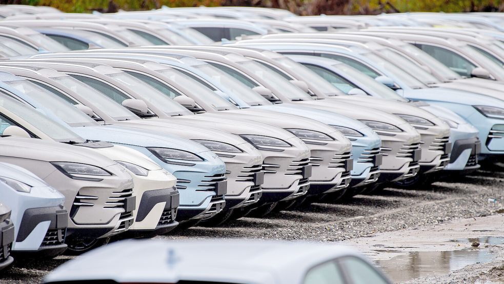 Elektrofahrzeuge des chinesischen Herstellers BYD Foto: dpa