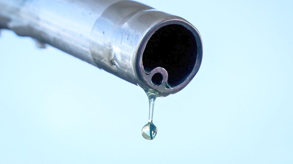 Im Netz verbreiten sich Falschbehauptungen über angeblich gestreckten Kraftstoff. (Archivbild) Foto: Alain Jocard/AFP/dpa