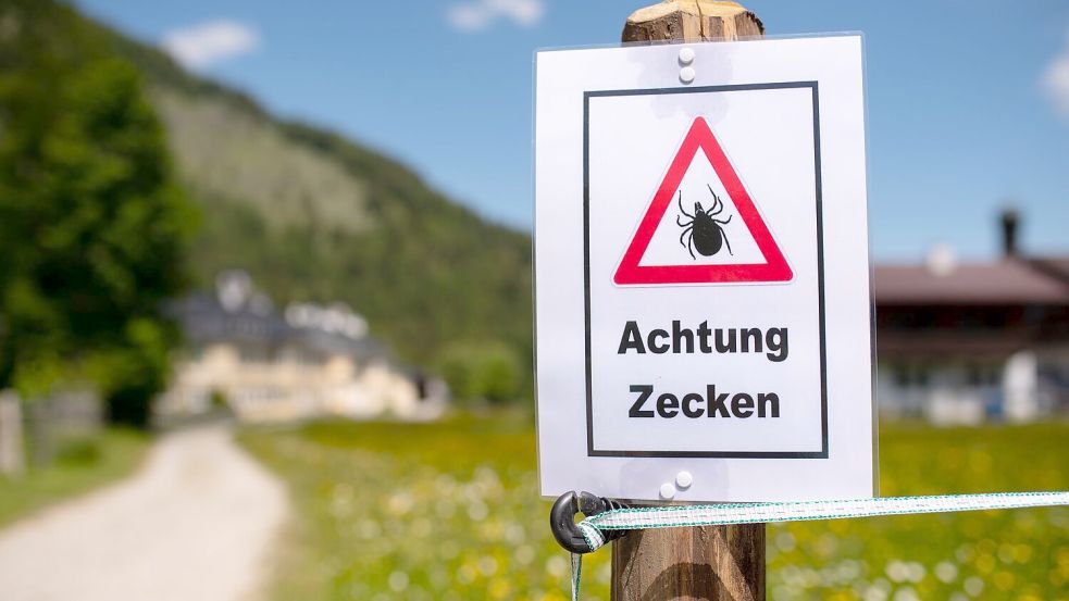 Nach einem Aufenthalt in der Natur sollte man sich unbedingt intensiv absuchen, denn diese stechen nicht sofort. Möglicherweise lässt sich so eine Infektion noch rechtzeitig verhindern. (Archivbild) Foto: picture alliance/dpa