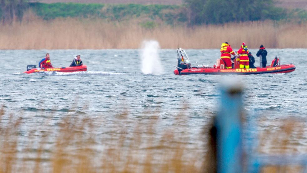 Greenpeace: „Der Stress für das Tier ist enorm.“ Foto: Jens Büttner