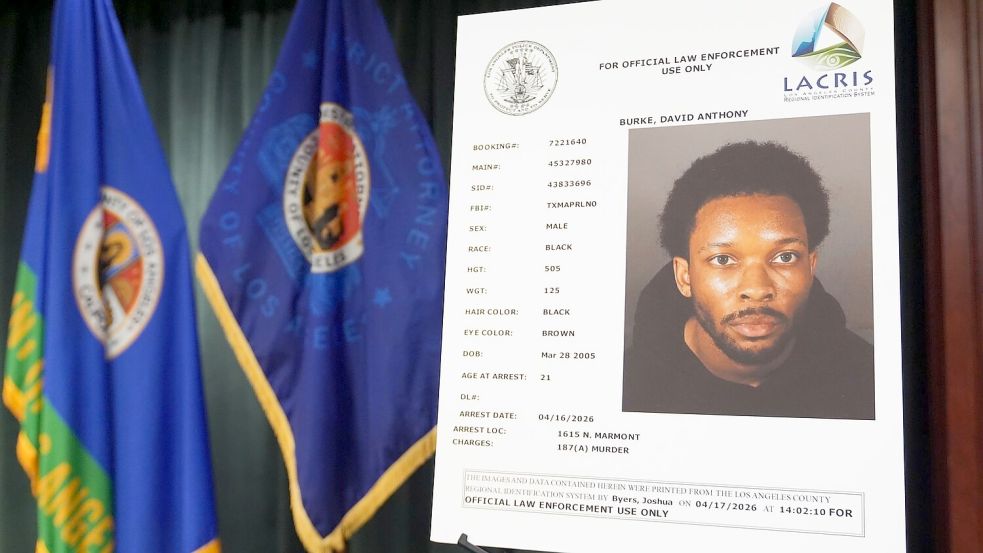 Gegen den US-Musiker David Burke alias D4vd wurde Mordanklage erhoben. Foto: Damian Dovarganes