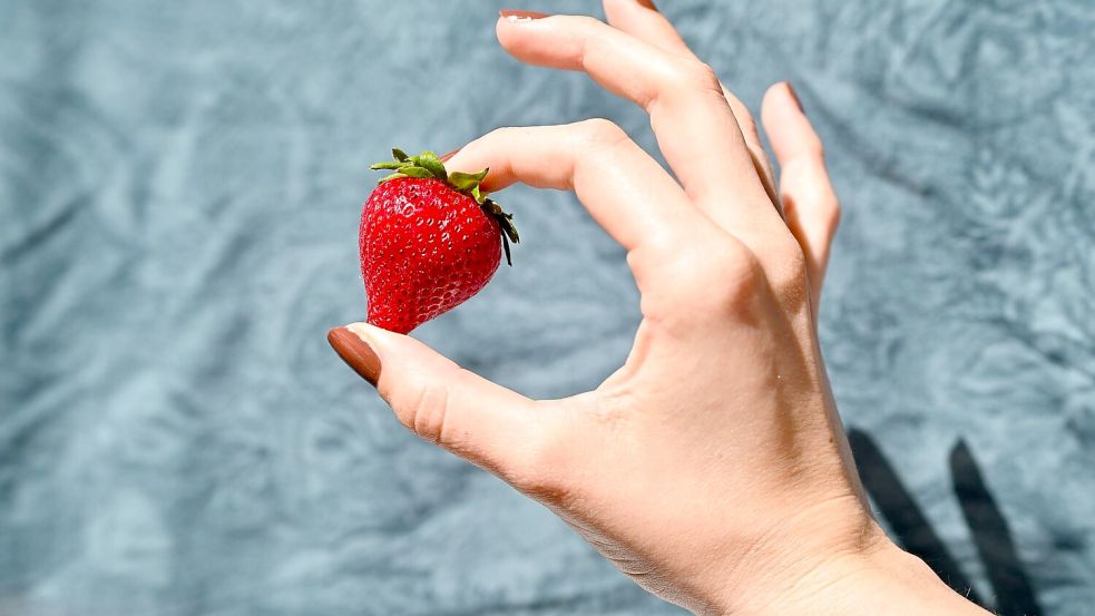 KI-generierte Fruchtvideos tauchen momentan bei Social Media auf. (Symbolbild) Foto: Katharina Kausche