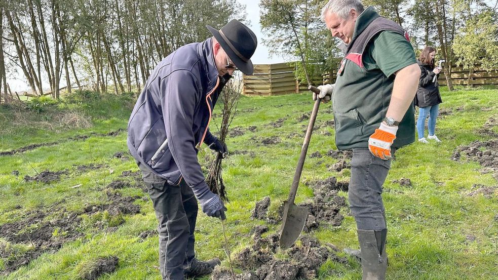 Die Bäume sind derzeit noch klein. Foto: privat