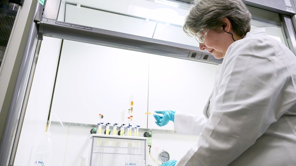 Eva Kabai, Leiterin des Radioökologie-Labors, befüllt eine Vakuumbox mit einer Salatprobe, um die Strahlenbelastung zu messen. Foto: Malin Wunderlich