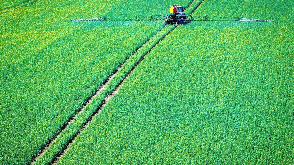 Pflanzenschutzmittel sollen die Ernte sichern. (Symbolbild) Foto: Jens Büttner
