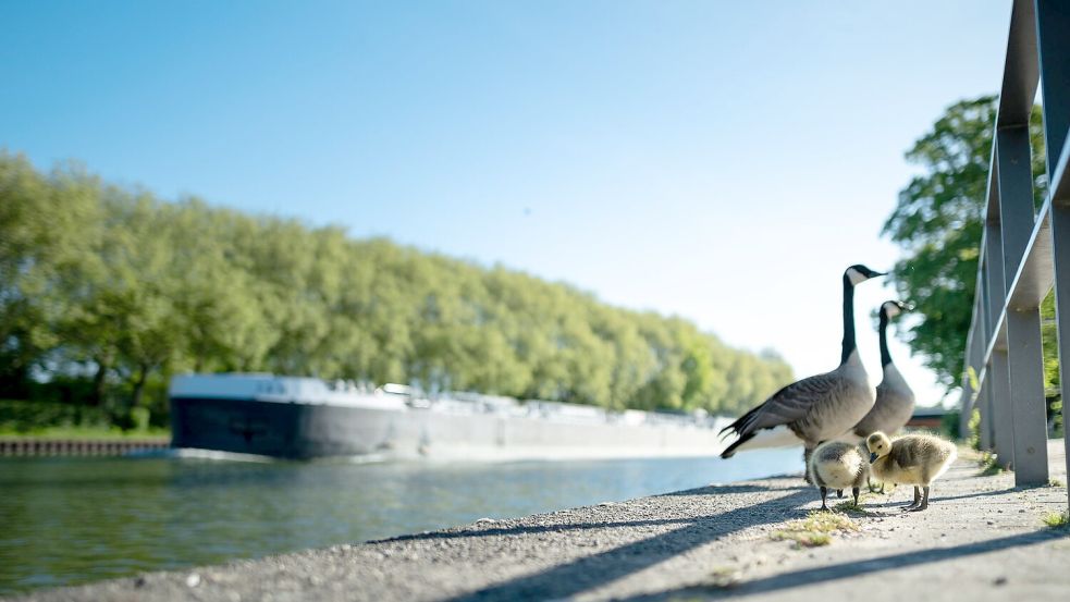 Viel Sonne und Temperaturen über 20 Grad sind in den nächsten Tagen zu erwarten. Foto: Fabian Strauch