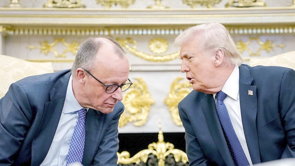 Noch vor zwei Monaten haben sich Trump und Merz ziemlich gut verstanden. (Archivbild) Foto: Kay Nietfeld/dpa