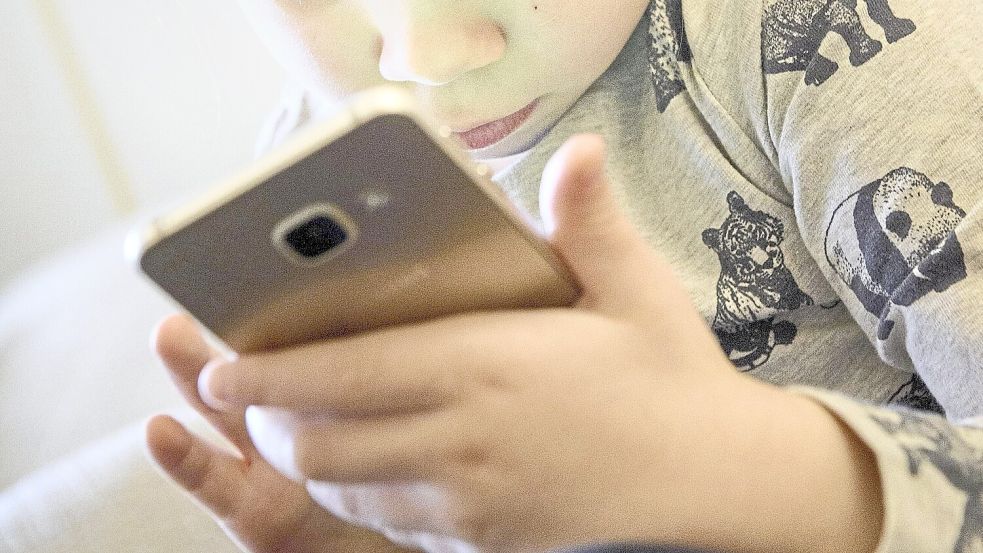 Wie schützt man Kinder vor Gefahren im Internet? Eine App der EU soll Abhilfe schaffen, ohne den Datenschutz aufzugeben. Foto: dpa/Hans-Jürgen Wiedl