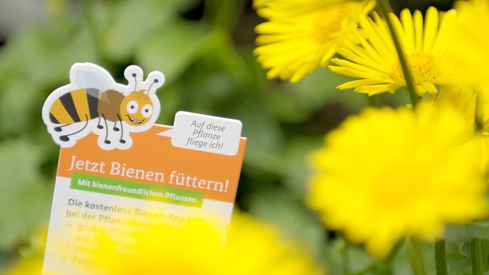 Insekten- und klimafreundlich sollte er sein, der perfekte Vorgarten für den Wettbewerb. Foto: DPA