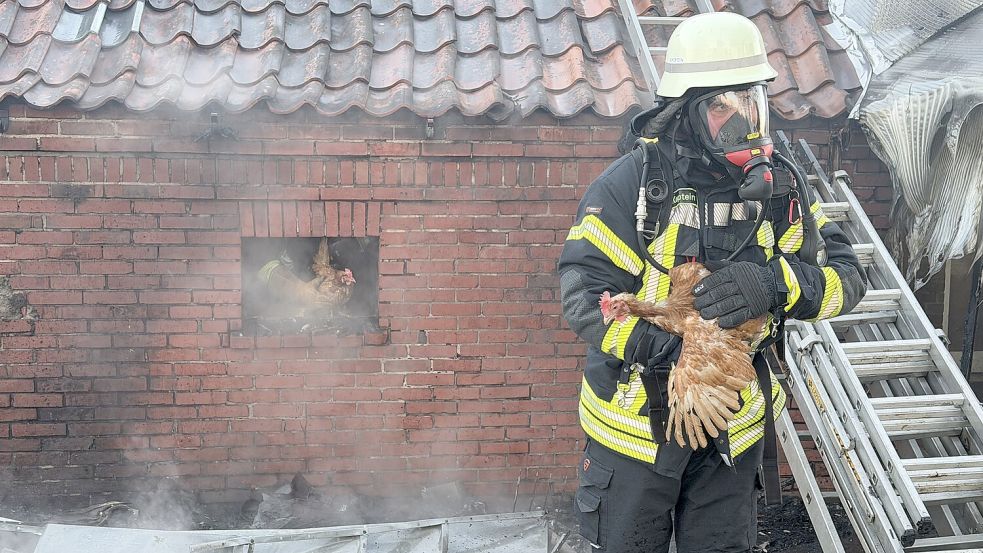 Die Feuerwehr rettete Hühner in Neuwesteel. Foto: Feuerwehr