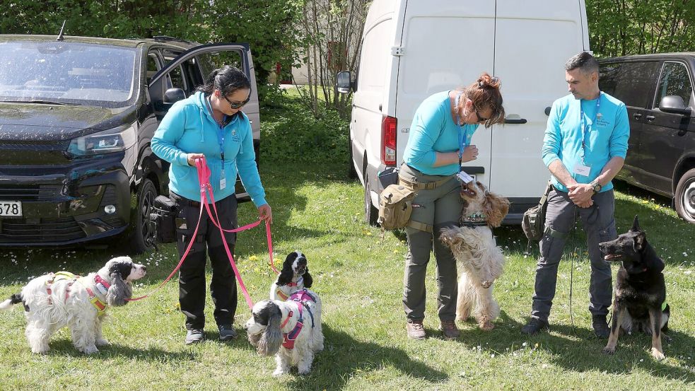Bargeld- und Goldspürhunde sind im Einsatz. Foto: Bernd Wüstneck