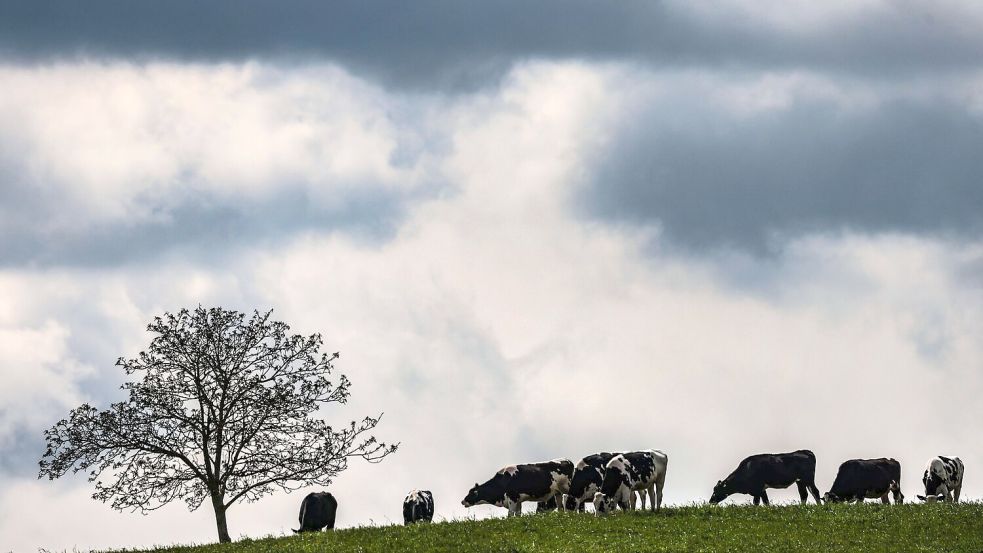 Zwischen dem Alpenrand und der Lausitz werden laut DWD am Montag teils starke Gewitter erwartet. (Archivbild) Foto: Oliver Berg