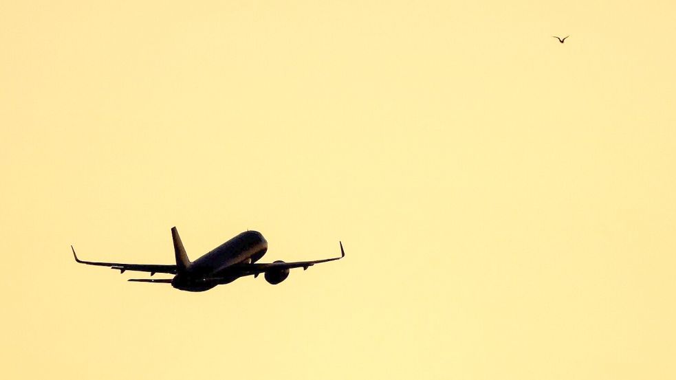 Das Paar soll sich auf dem Flug zwischen Panama und Argentinien kennengelernt haben. (Symbolbild) Foto: Jan Woitas