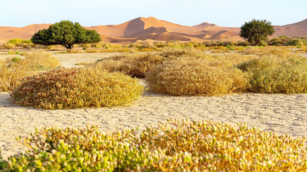 In der namibischen Wüstenregion Sossusvlei ist es zu einem Flugzeugabsturz gekommen. Foto: IMAGO/Cavan Images