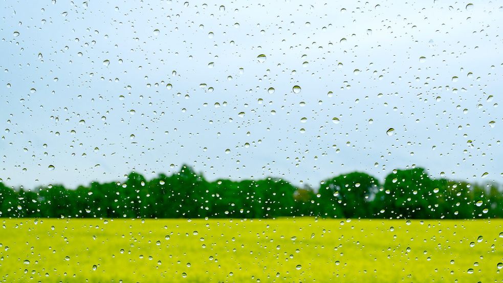 Regen wird es auch in den kommenden Tagen geben. Foto: Patrick Pleul