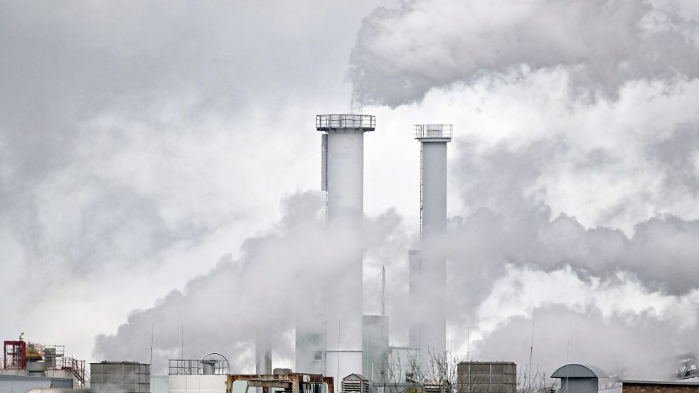 Beim Klimaschutz hat sich die Bundesregierung nicht genug vorgenommen, meinen wichtige Experten. (Archivbild) Foto: Patrick Pleul