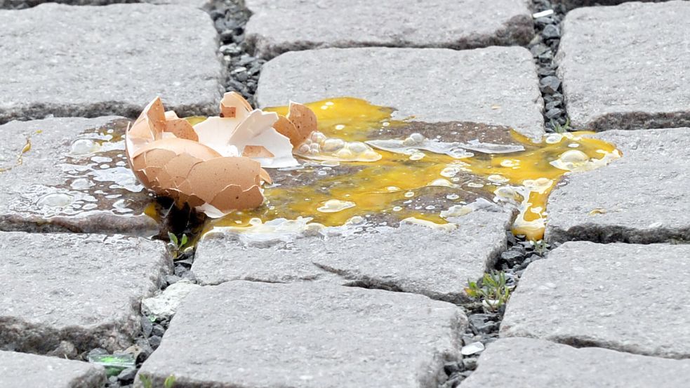 Ein zerbrochenes Ei liegt nachdem es geworfen wurde auf einer Straße. Foto: dpa/Boris Roessler