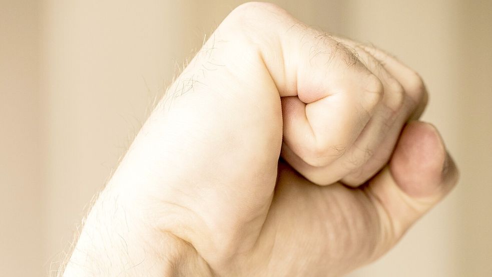 Der Beschuldigte hat seinem Bruder nach Überzeugung des Gerichts mehrere Faustschläge verpasst. Foto: Pixabay
