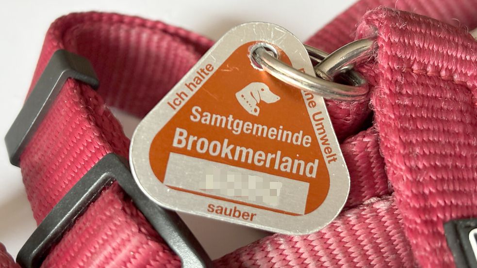 Die Brookmerlander Hundesteuermarke wird es künftig nicht mehr geben. Foto: Sarah Dirks