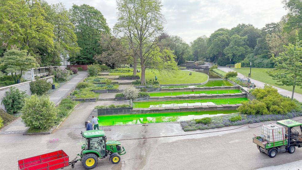 In Hamburg war unter anderem das Wasser von Springbrunnen des Parks Planten un Blomen mit grüner Farbe gefärbt. Foto: Bodo Marks