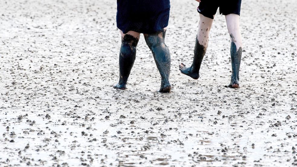 Schnell kann aus einer harmlosen Wattwanderung eine lebensgefährliche Situation entstehen. Foto: Picture Alliance/DPA, Hauke-Christian Dittrich