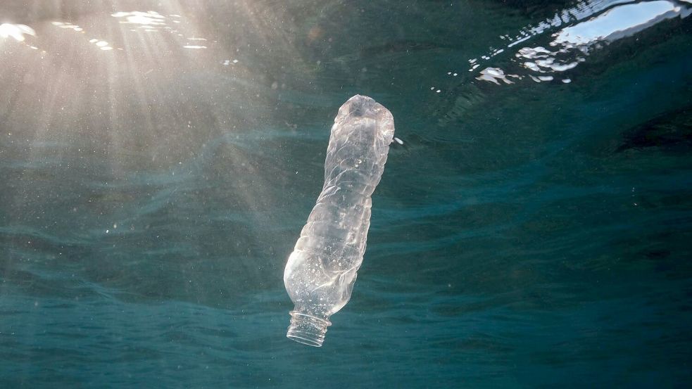 Eine Flasche treibt im Meer - wie hier vor Ägypten. Foto: Andrey Nekrasov