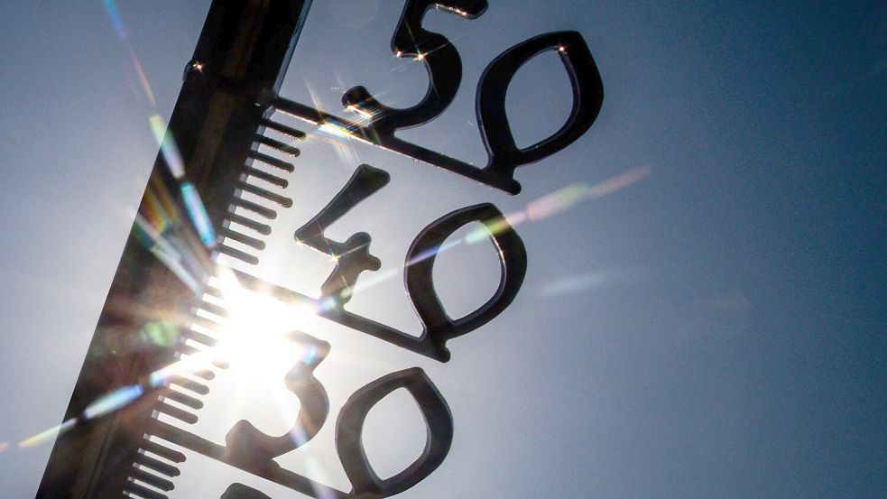 WMO: Der Hitzerekord von 2024 könnte schon bald fallen (Symbolbild) Foto: Jens Büttner