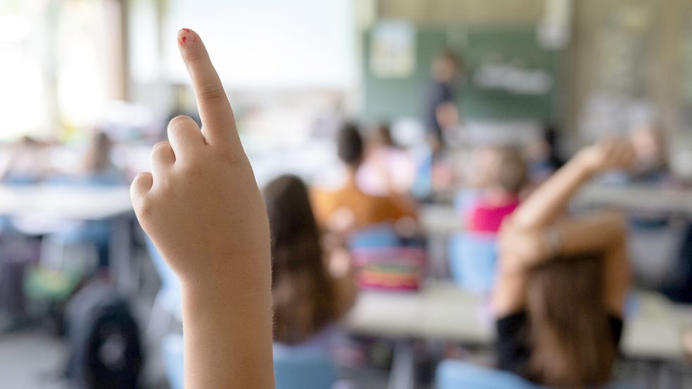 Vor allem über die Schulen könnten Jugendliche erreicht und für die Mitarbeit in einem Jugendparlament gewonnen werden. Foto: Marijan Murat/DPA