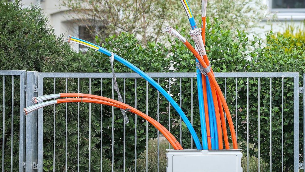 Glasfaser-Kabel an einem Schaltschrank. Foto: Jan Woitas
