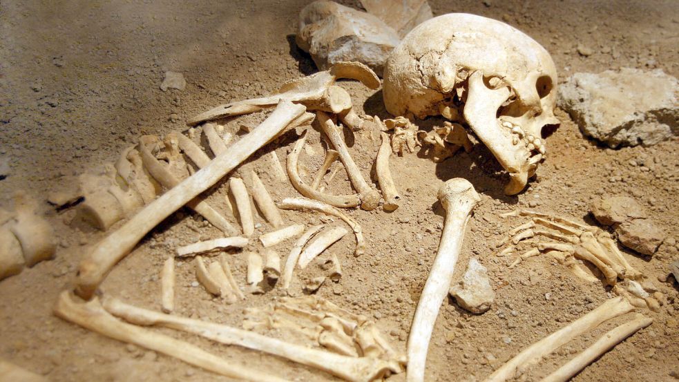 Wissenschaftler haben das 800 Jahre alte Rätsel zweier Skelette gelöst. Foto: IMAGO/Design Pics