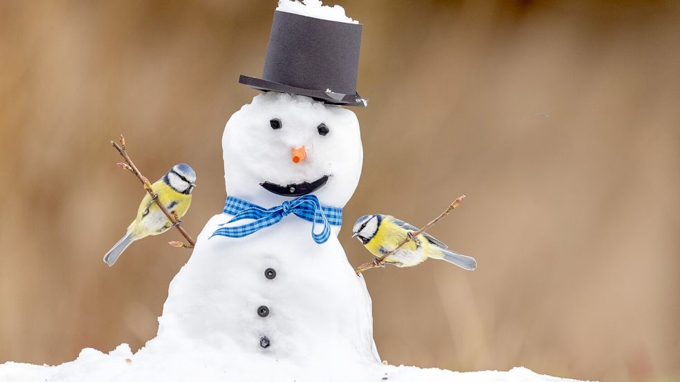 Februar Mit dem Foto „Mein Schneemann hat ‘ne Meise“ geht der Titel an Folkert Christoffers aus Aurich-Middels.