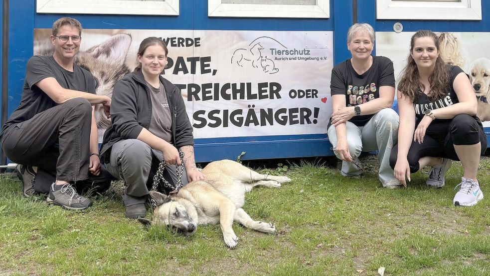 Sie kümmern sich um die Bewohner des Auricher Tierheims: Markus Janssen (von links), Neele Kaufmann, Karin Seitner und Sonja Dotzauer. Foto: Tabea Lüders