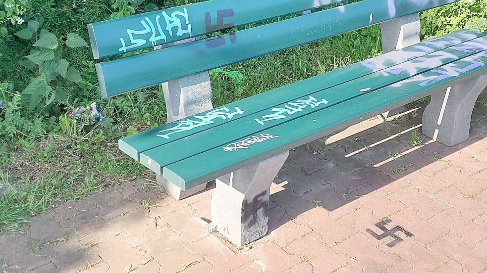 Unbekannte haben verfassungsfeindliche Symbole und rassistische Beleidigungen entlang der Ehe gesprüht. Foto: privat