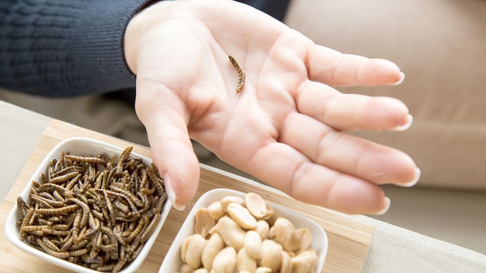 Essen wir in Zukunft kein Fleisch mehr, sondern Insekten? Bis es soweit sein könnte, dürfte es ein langer Weg sein. Foto: dpa-tmn/Christin Klose