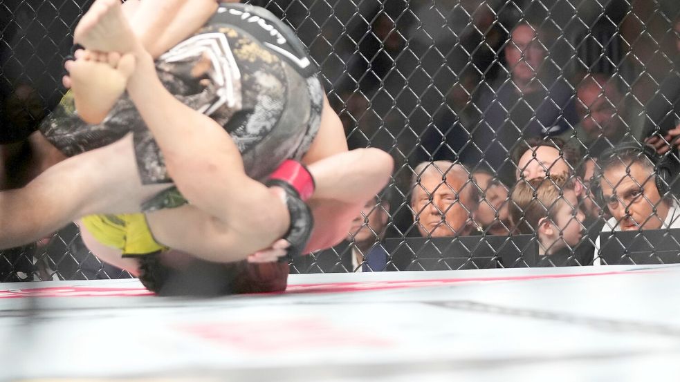 Nicht selten wird einer der UFC-Kämpfer im Ring bewusstlos geprügelt. Foto: Lynne Sladky/AP/dpa