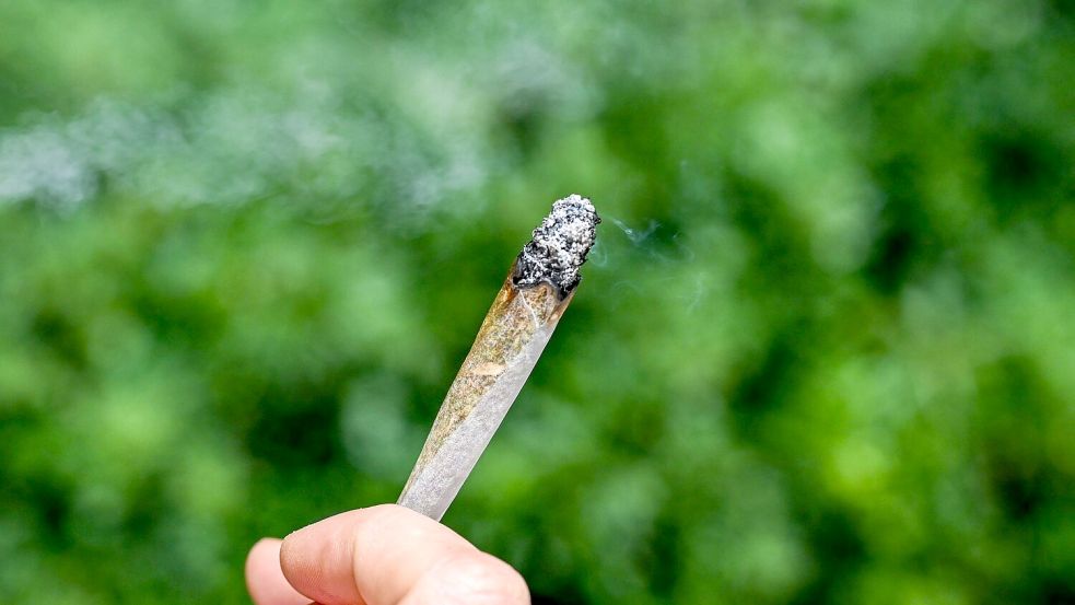 Seit rund zwei Jahren ist Cannabis in Deutschland teilweise legal. Foto: Jens Kalaene