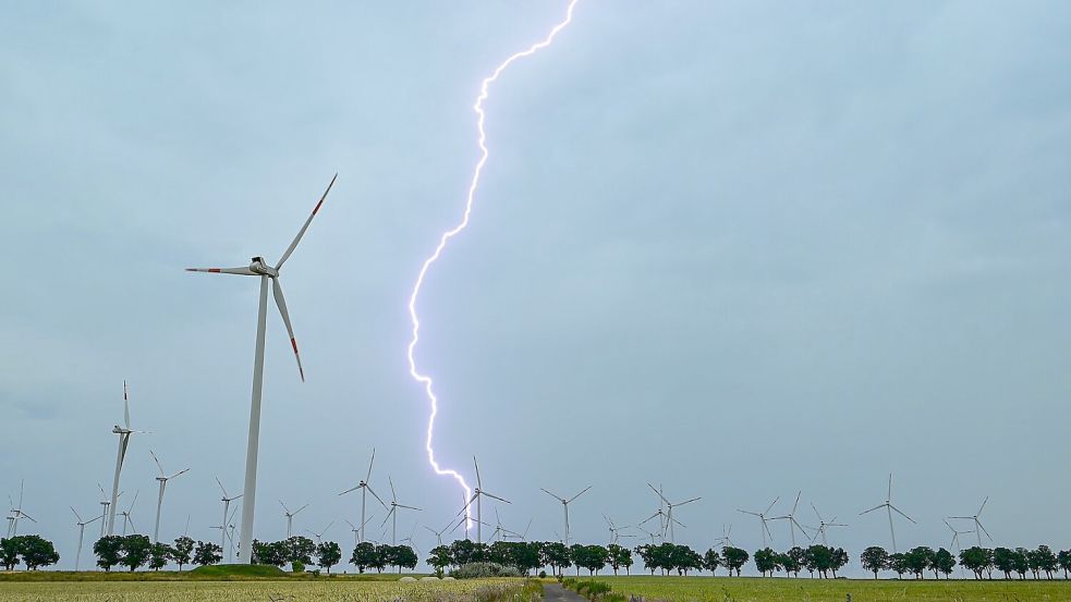 Gewitter, Stürme und Hitze zeigten am Wochenende bereits erste Spuren. Foto: Patrick Pleul