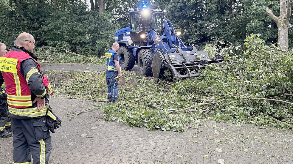 Mit Hilfe des THW räumte die Feuerwehr auch am Morgen noch Straßen frei. Foto: Feuerwehr Norden