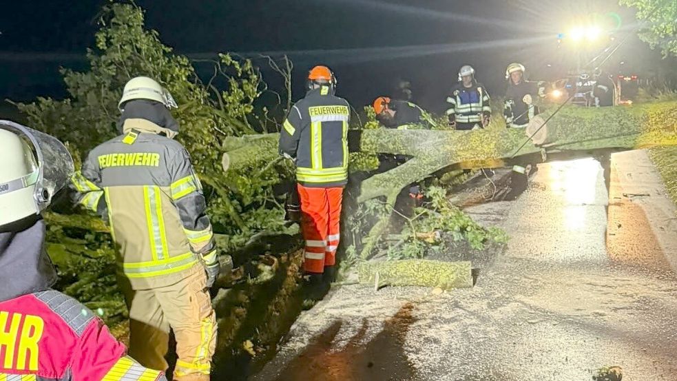 Die Auricher Feuerwehrleute schnitten immer wieder Bäume in Einzelteile, um sie von der Straße räumen zu können. Foto: Feuerwehr Aurich