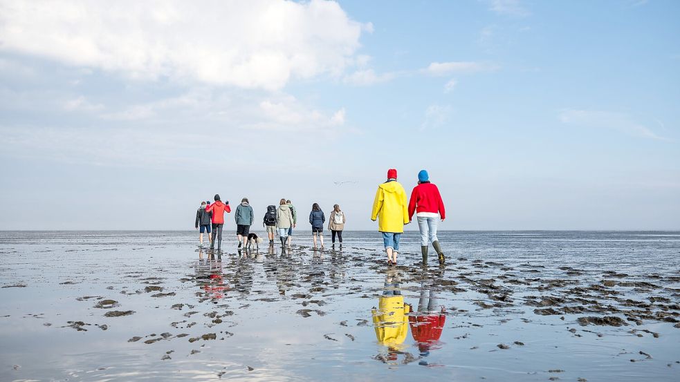 Im Rahmen des Weltnaturerbe-Geburtstages können Einheimische den Nationalpark unter anderem bei Wattführungen erkunden. Foto: Melanka Helms / NLPVW