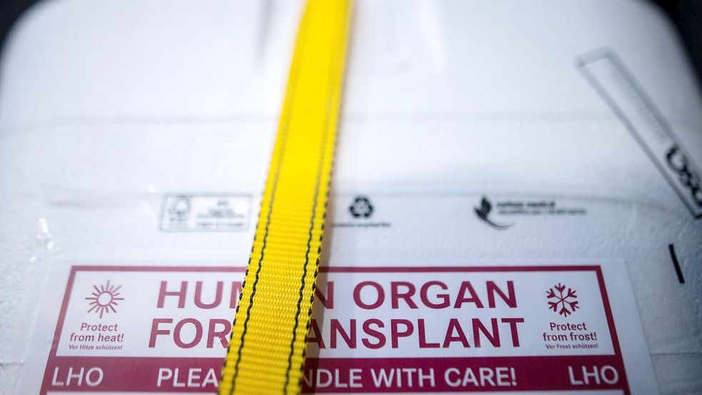 Rund 8.200 Patienten stehen auf Wartelisten für Spender-Organe. (Archivbild) Foto: Sebastian Gollnow