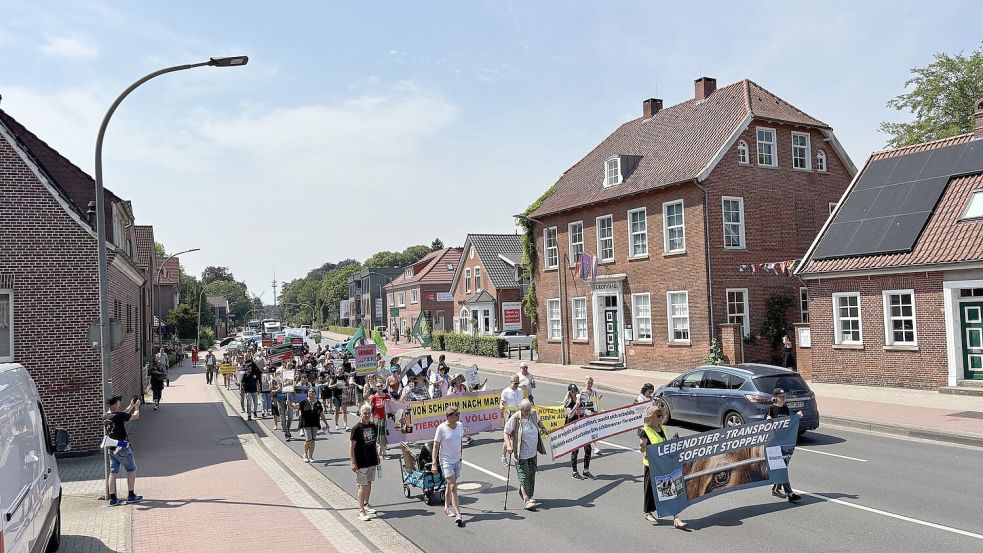 Der Protestzug läuft. Er hat erst um kurz vor 13 Uhr angefangen. Foto: Mieke Matthes