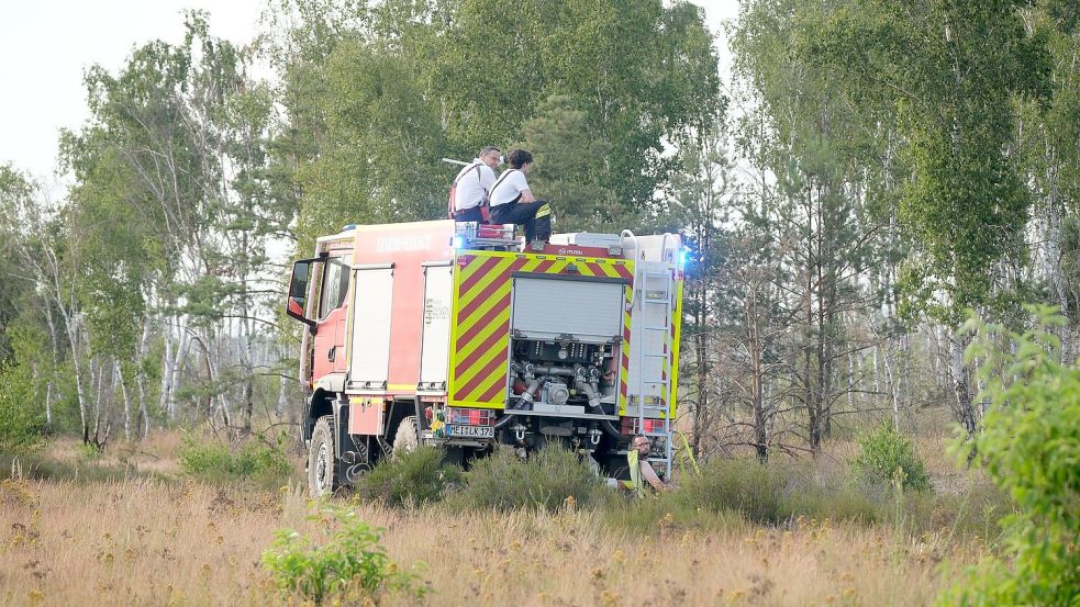 In der Gohrischheide brennt es erneut. Foto: Sebastian Willnow/dpa