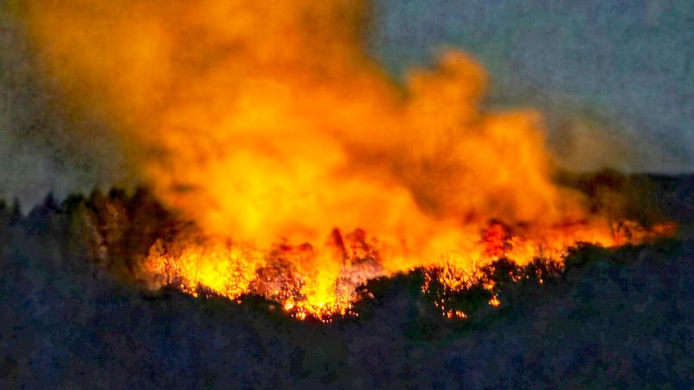 In der Nacht brannte es lichterloh in dem Waldgebiet in Rheinland-Pfalz. Foto: Sebastian Schmitt/dpa
