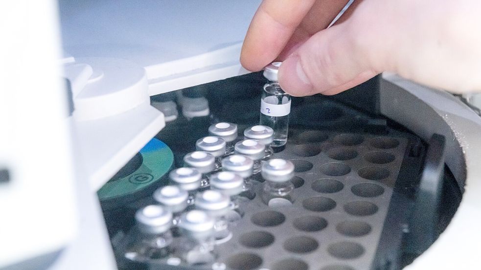 Gegen Shein läuft ein Verfahren der EU-Kommission, in das auch Ergebnisse der Tests in Bremen einfließen sollen. Foto: Sina Schuldt