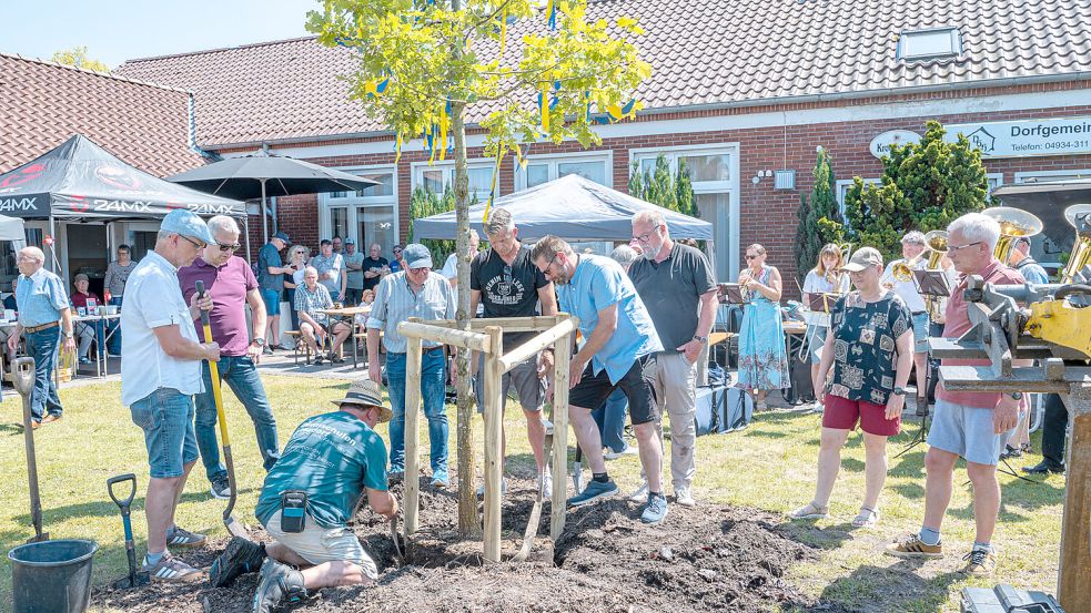 Auf der Grünfläche vor dem Dorfgemeinschaftshaus in Rechtsupweg wurde die Jubiläumseiche gepflanzt. Foto: Folkert Bents